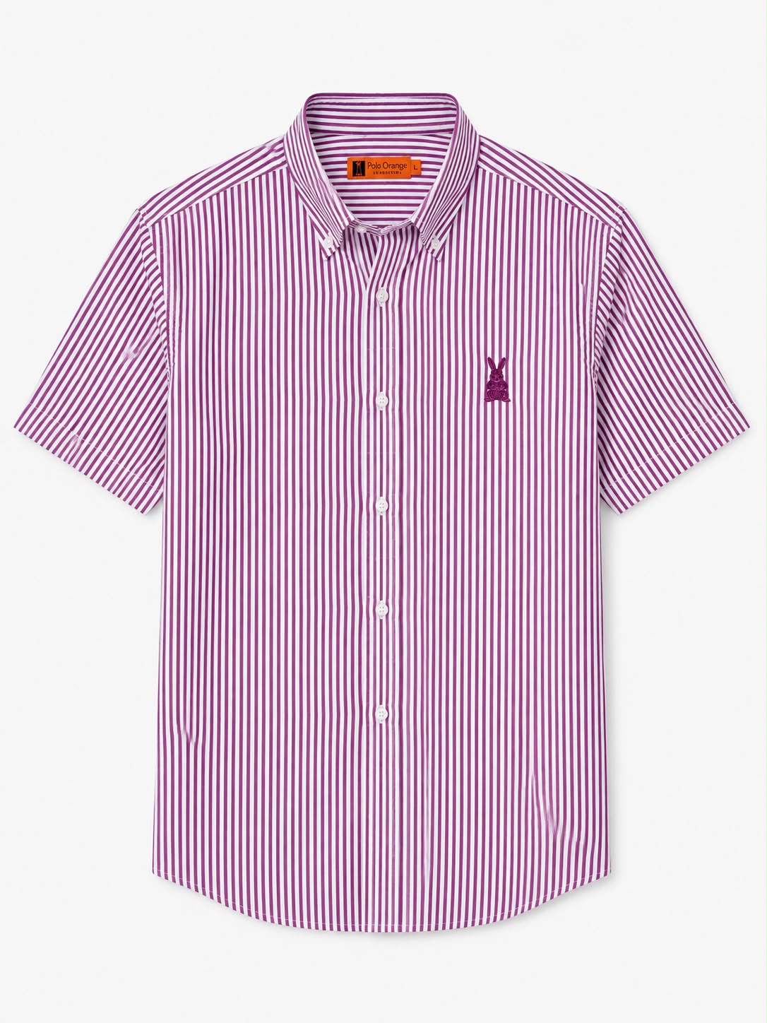 CAMISA HOMBRE RAYA MORADA MANGA CORTA